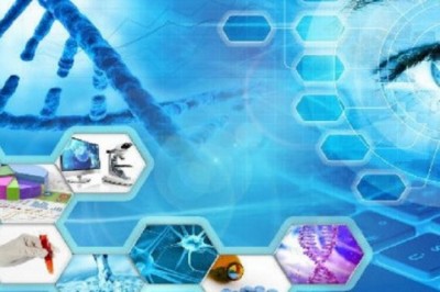 Nitric Oxide Synthase (NOS) Brain Market Forecast Opportunity Analysis-2027