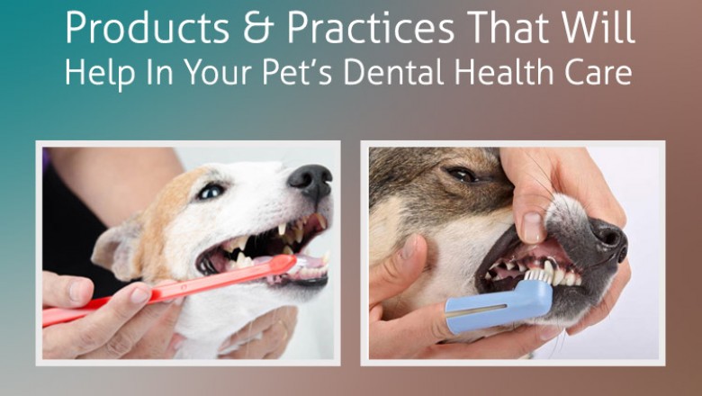 Products And Practices That Will Help In Your Pets Dental Health Care