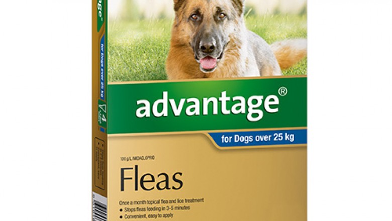Buy Advantage For Extra Large Dogs Over 25KG 6 Pack Blue | DiscountPetCare
