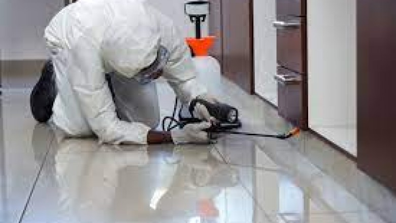 How to prepare for a Professional pest Control Service