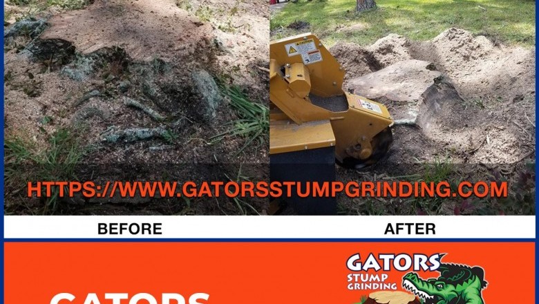 Tree Removal