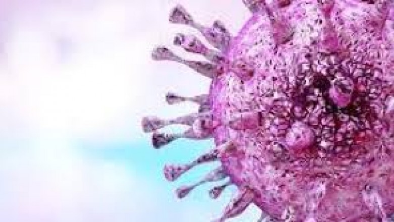 Globulin Market – Top Participant To Focus On Regional Expansion
