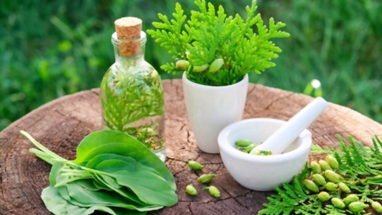 Desi Medicine - Why to Choose Best Desi Medicine for Treatment?