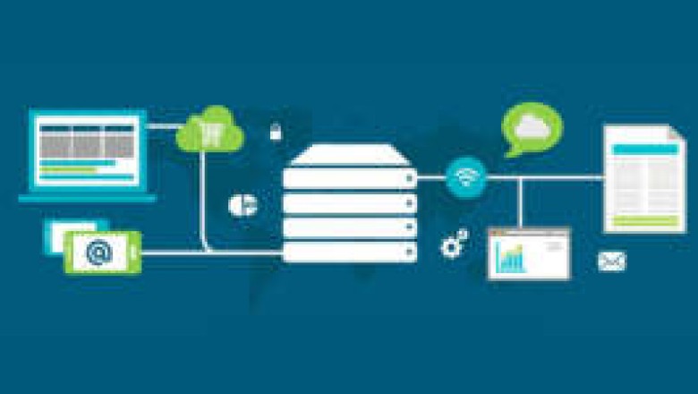 Linux Shared Hosting | Best Shared Web Hosting in India | Host Cafe Day