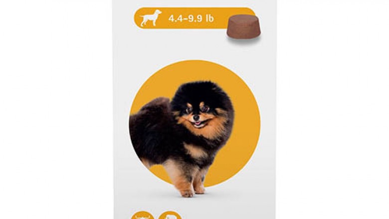 Bravecto Chewable For Dogs | Best Flea And Tick Treatment