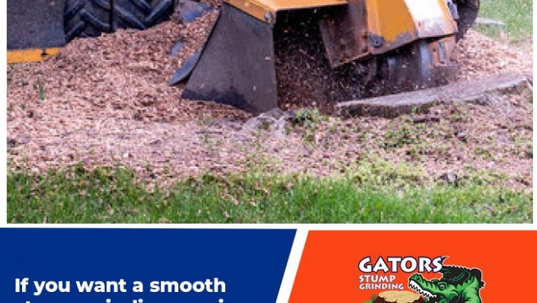 Gators Stump Grinding Jacksonville Fl