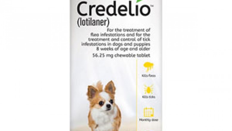 Credelio For Dogs 04 To 06 Lbs |flea and tick treatment for dogs| Petcareclub