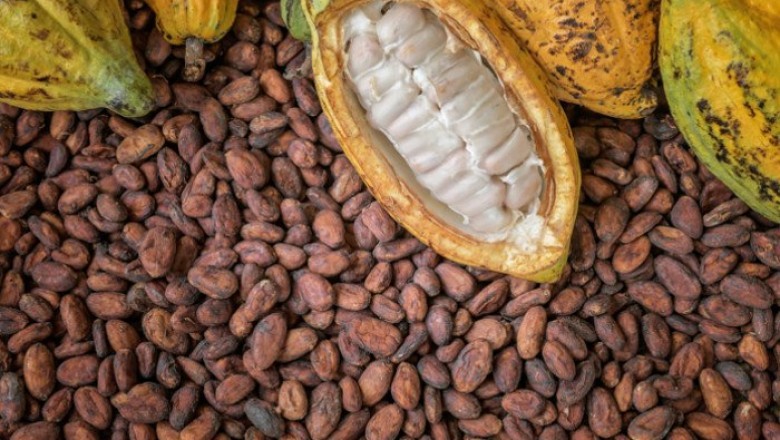 Cocoa is the dried and fully fermented seed of Theobroma cacao, from which cocoa solids and cocoa butter can be extracted
