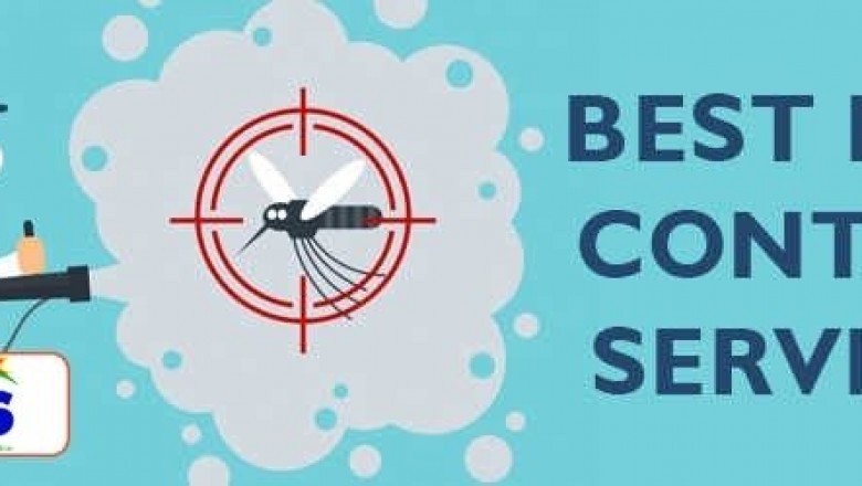 Pest control service in Sydney
