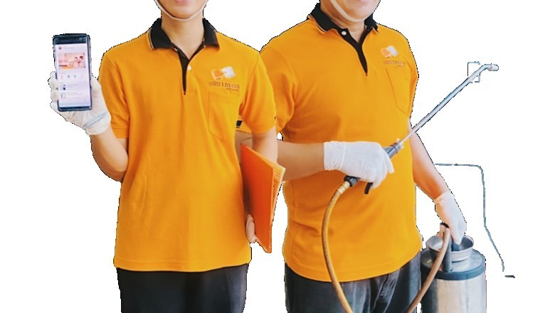 Remove Termites Before They Get rid of Your Properties
