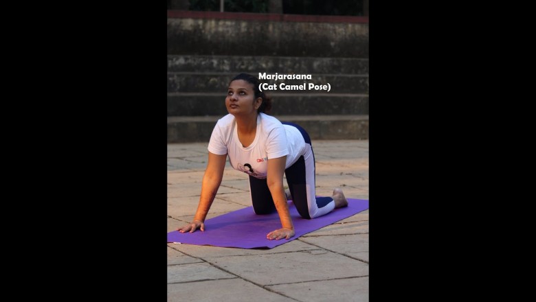How to do Marjariasana (cat posture) | superyogis