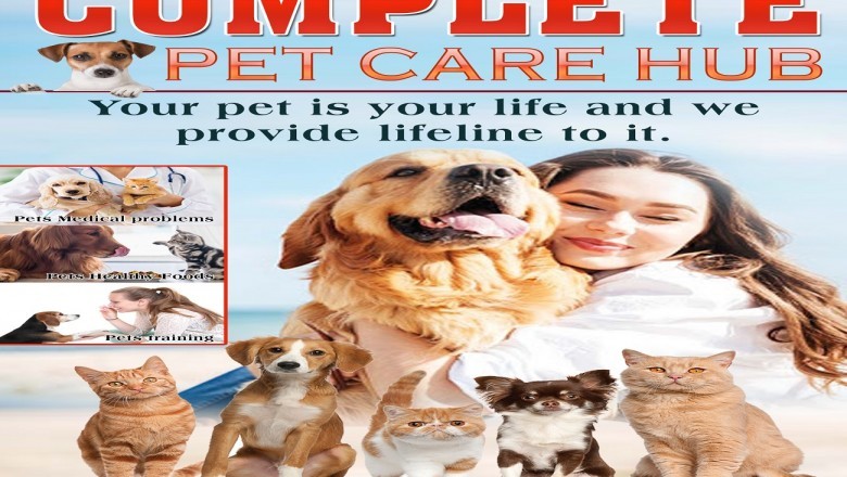 What is Pet Socialization, and Why It is valuable?
