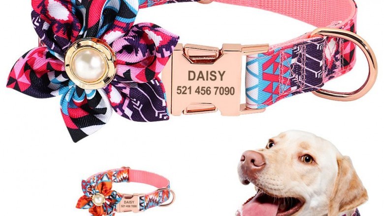 Personalized dog collars and leashes | curlitail