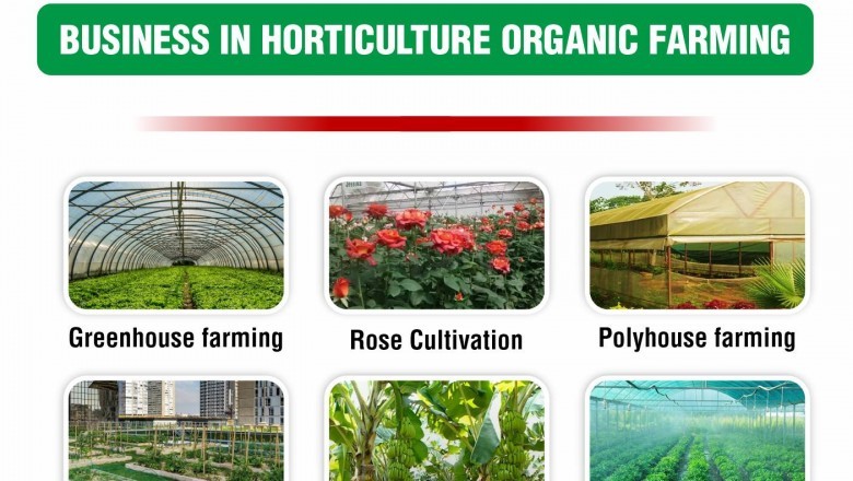 Want to Start a business in Horticulture organic farming with Project Report | IID Lucknow