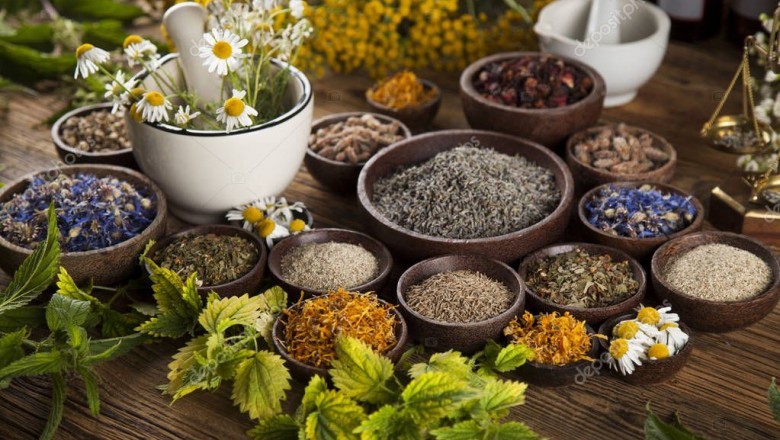 Herbal Store - Qualities of Best Herbal Store