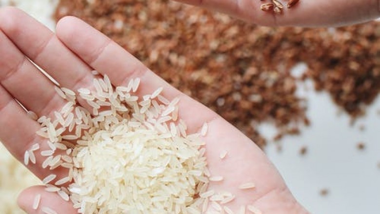 Rice Blogs