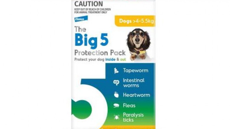 Big 5 Protection Pack For Small Dogs 4-5.5 Kg Yellow | DiscountPetCare