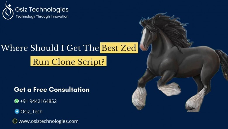 Where Should I Get The Best Zed Run Clone Script?