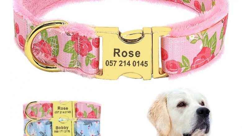 Buy pet accessories - New arrivals - Dogs collars and leashes | CurliTail
