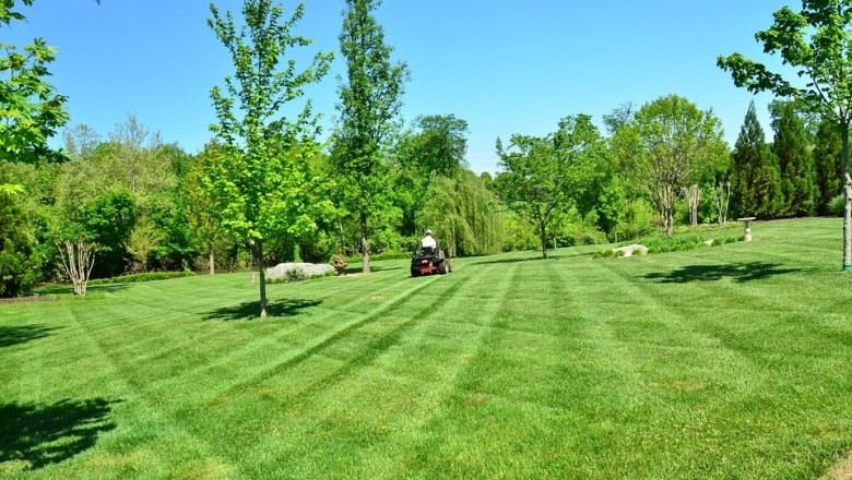 Lawn cutting services in Hammond LA