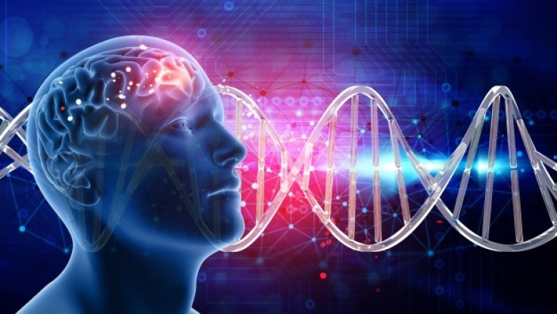The Companion Diagnostic Market insights and trends