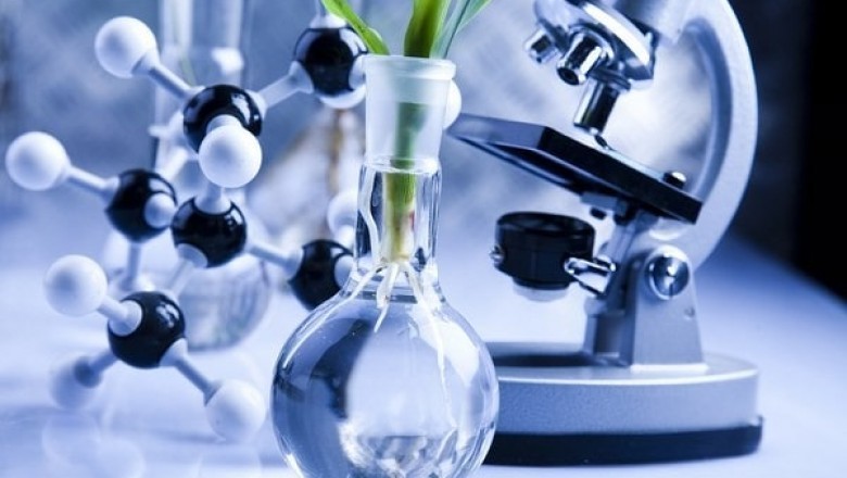 Biotech Ingredients Market Report 2021-26: Size, Share, Trends and Forecast