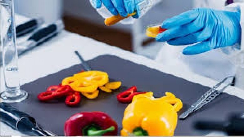 Global Food Safety Testing Market 2021 Study Scope, Key Segments, Industry Trends,Size and Forecast to 2027