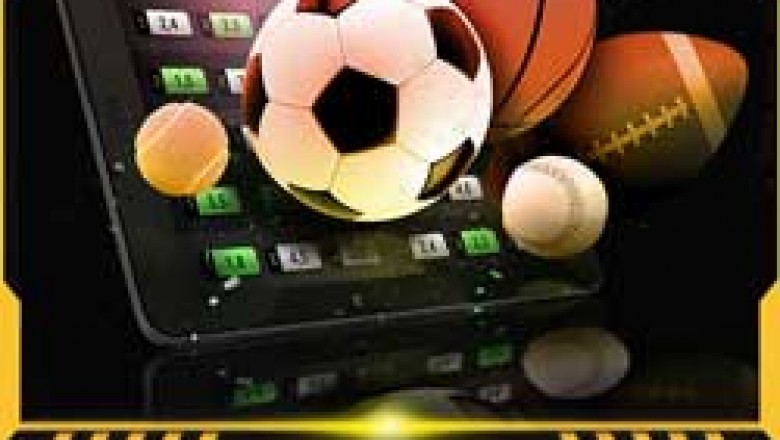 Tips yang harus diingat setiap petaruh sebelum memasang taruhan