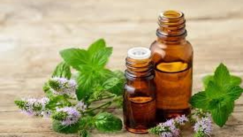 Global Essential oil Market Size 2021, Analysis, Growth Status andforecast to 2026