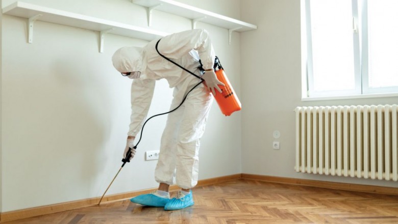 Tom's Pest Control Sydney