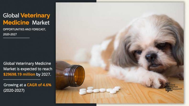 Veterinary Medicine Market Share to Exhibit Steady Growth in the Coming Decade