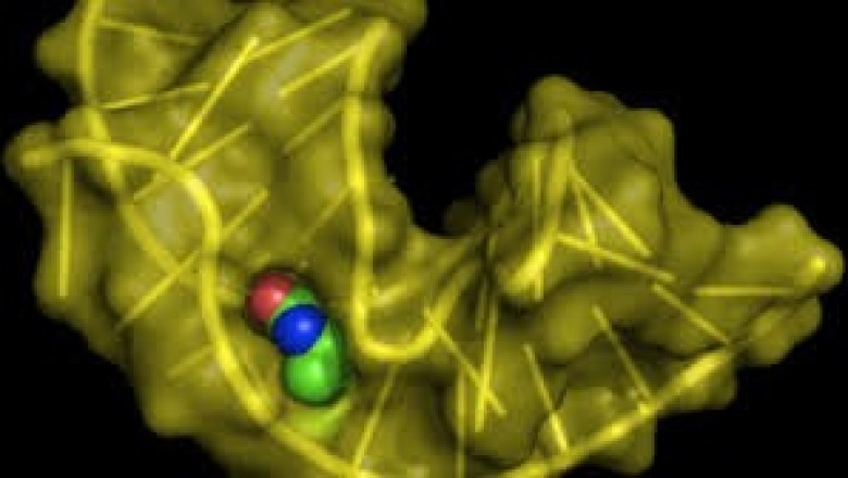 An Aptamer that Binds to the Spike Protein of SARS-CoV-2 Can Prevent Virus Multiplication and Penetrating Cells