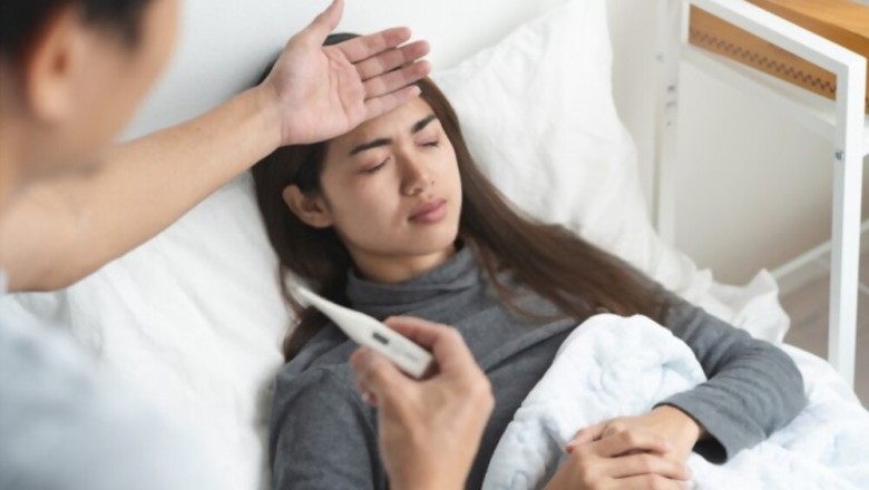 Best Herb for Typhoid - List of Herbs Effective Against Typhoid