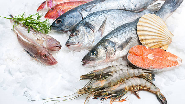 Frozen Fish & Seafood Market Development, Key Opportunity, Application and Forecast to 2029
