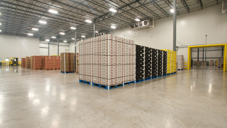 Four Benefits of Having Warehouse Robotics