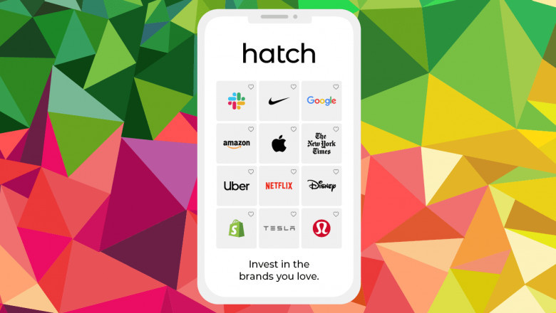 Hatch invest nz review