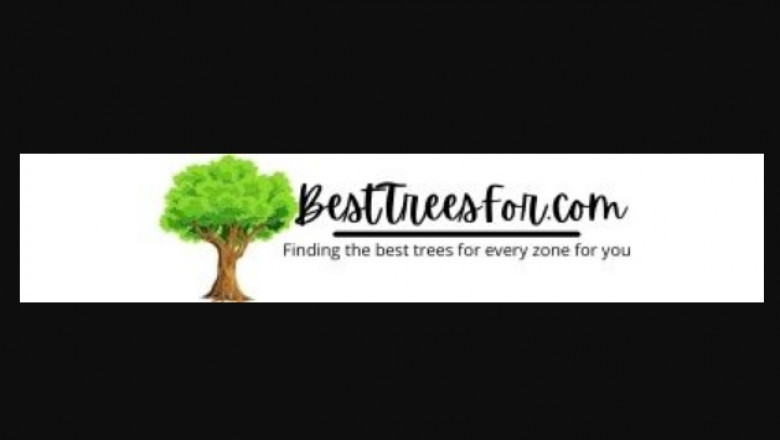 Pick the most effective Tree For your Yard