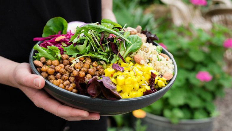 The changing dynamics of consumer preferences driving the demand for plant-based protein products in Brazil