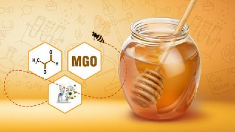 Best Honey to Buy