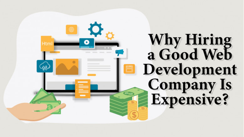 Why hiring a good web design company is expensive?