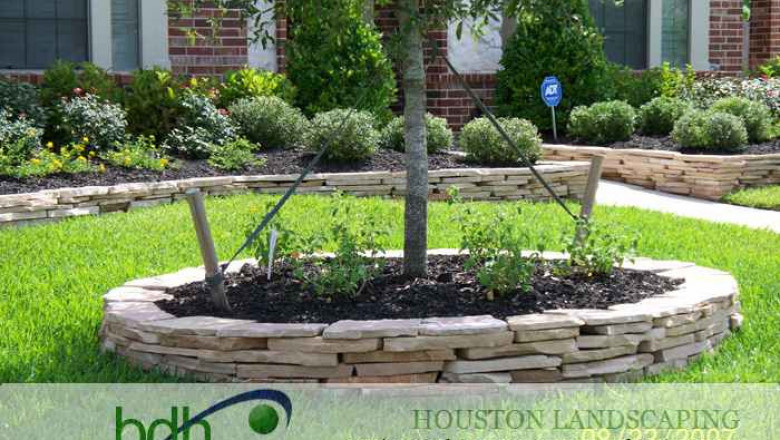 Top Spring Landscapers | Affordable Backyard Landscaping