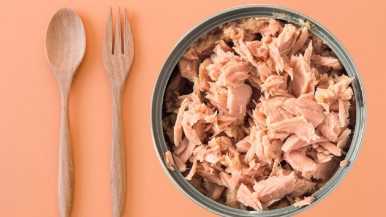 Best Report on Canned Tuna Market 2021: By Top Key Players like Natural Sea, Wild Planet