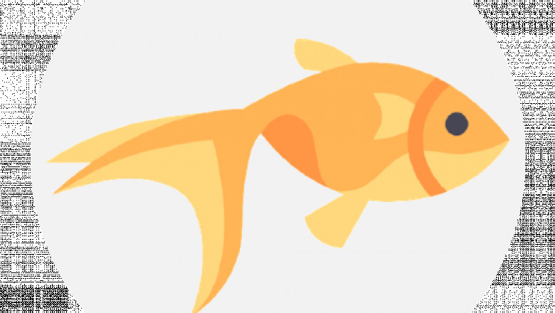 “Fishwaale”, Another Example Of Modernization With Innovation