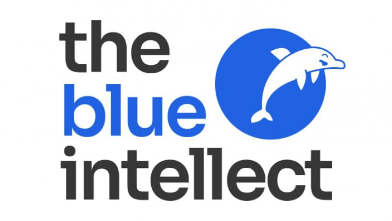 internet marketing company in pune
