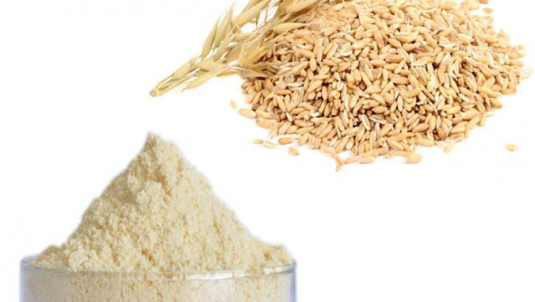 Yeast Glucan Market Report | Global Forecast To 2028