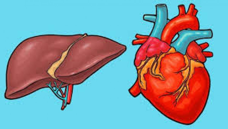 The transthyretin amyloidosis treatment depends on the affected tissues and the degree of disease progression