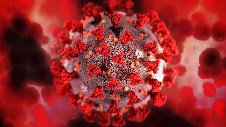 With more than 20 supported items and a few being worked on, the Avastin® biosimilars market is projected to observe essential development throughout the next few years, claims Roots Analysis