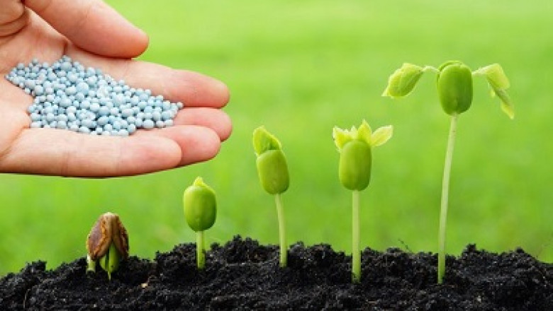 Bio Pesticides Market Overview 2021: Global Demand Analysis & Opportunities Outlook 2027