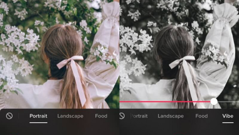 Photo filters: the essentials for your level