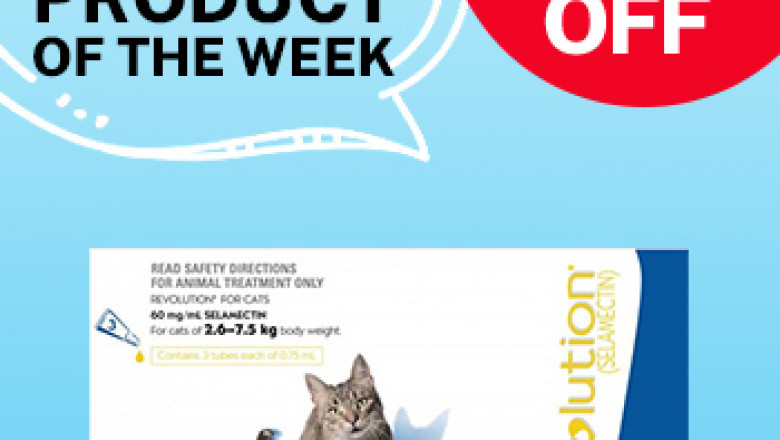 Cheapest Pet Supplies for Cat in South Africa, Revolution for Cats on Sales